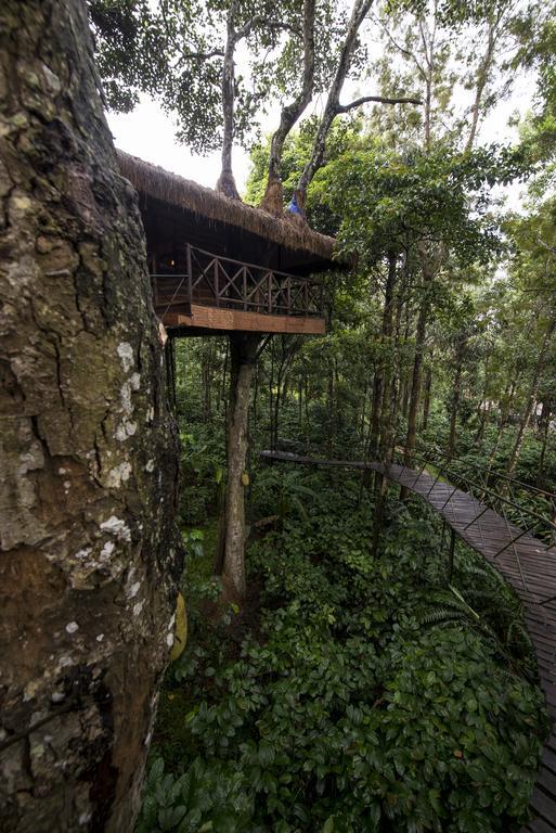 Pepper Trail Hotel Sultan Bathery Room photo